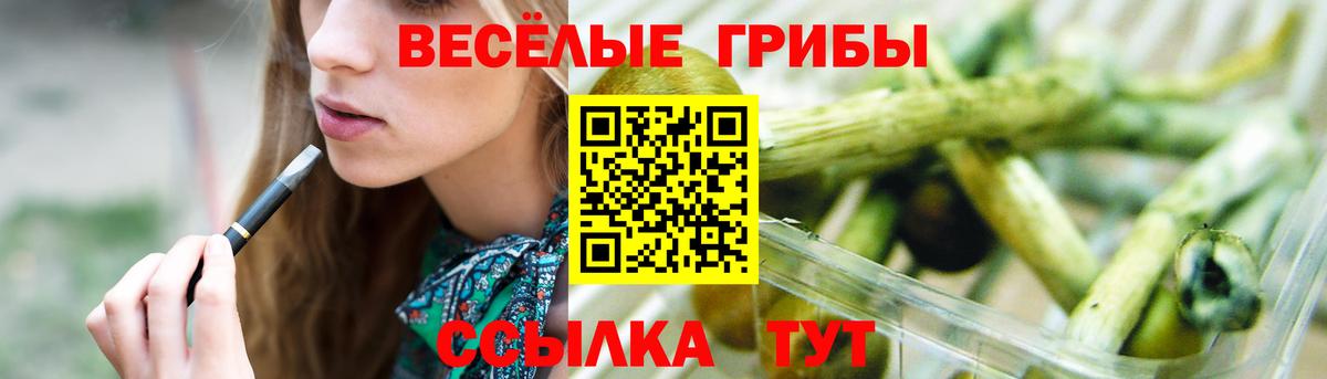 Псилоцибиновые грибы Magic Shrooms Старая Купавна